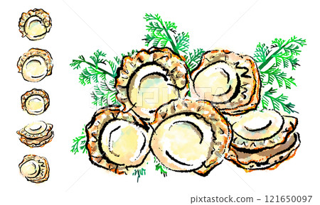 「扇貝」手繪插圖(筆觸、sumi-e、水彩風格) 「扇貝」手繪插圖(筆觸、sumi-e、水彩風格) 121650097