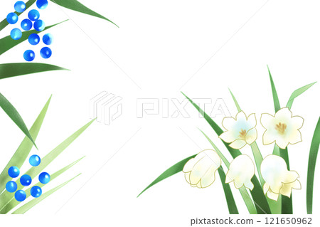 龍鬚花果卡 龍鬚花果卡 121650962