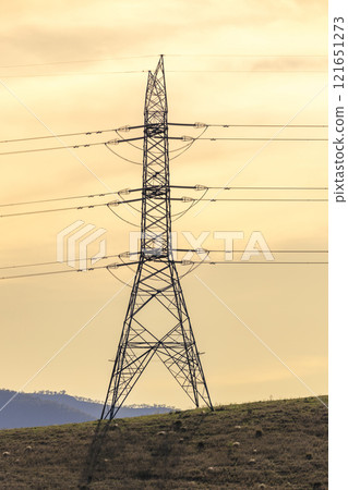 A large steel structure supporting the electricity network 121651273