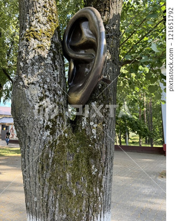 Unique Sculpture of Ear Embedded in a Tree Unique Sculpture of Ear Embedded in a Tree 121651792