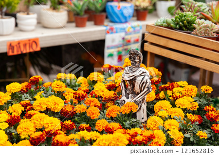 Plants of cempansuchil. Cempasuchil flower festival on the famous Paseo de la Reforma in Mexico City. 121652816