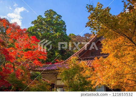 勝法寺正殿 鳴谷山 勝法寺 紅葉名勝 三重縣伊鍋市 勝法寺正殿 鳴谷山 勝法寺 紅葉名勝 三重縣伊鍋市 121653532