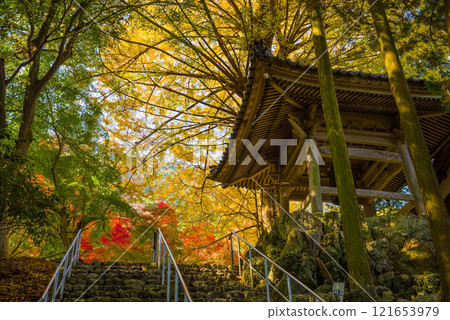 勝法寺鐘樓 銀杏樹 鳴谷 勝法寺 紅葉名勝 三重縣伊鍋市 121653979