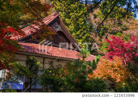 勝法寺正殿 鳴谷山 勝法寺 紅葉名勝 三重縣伊鍋市 121653996