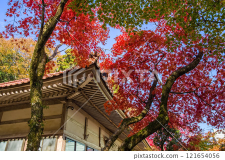 Shohoji Temple, Main Hall, Narutaniyama Shohoji Temple, famous for autumn leaves, Inabe City, Mie Prefecture 121654056