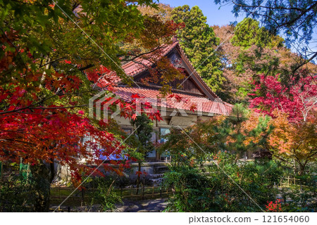 勝法寺正殿 鳴谷山 勝法寺 紅葉名勝 三重縣伊鍋市 勝法寺正殿 鳴谷山 勝法寺 紅葉名勝 三重縣伊鍋市 121654060