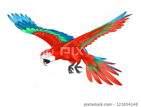 七彩綠金剛鸚鵡飛翔 121654148