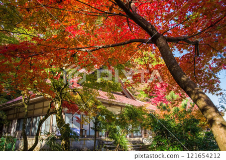 Shohoji Temple surrounded by autumn leaves, Inabe City, Mie Prefecture 121654212