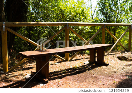Bench in the summer park with old trees and footpath. Garden bench Bench in the summer park with old trees and footpath. Garden bench 121654259