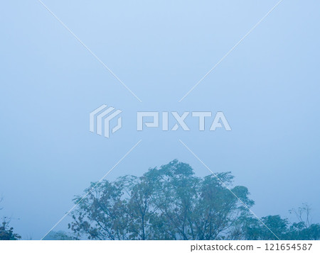 Winter early morning misty forest 06 Winter early morning misty forest 06 121654587