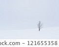 Snow Scene and a Tree 121655358