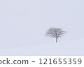 Snow scene and a tree 121655359