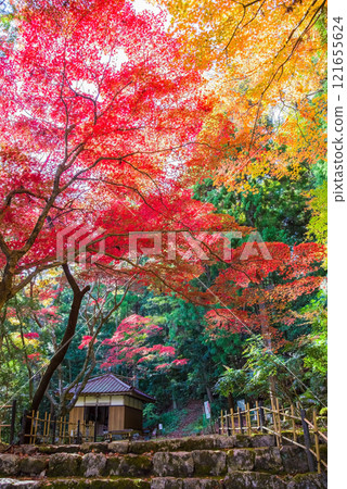 三重縣伊鍋市 勝法寺、血楓庭園、鳴谷山勝法寺、紅葉名勝 121655624