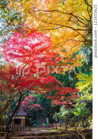 Shohoji Temple Blood Maple Garden Narutaniyama Shohoji Temple Famous for autumn leaves Inabe City Mie Prefecture 121655625