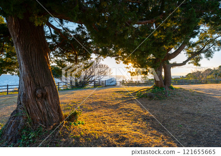Wakayama Prefecture: Sunset view from the southernmost tip of Honshu (December 2024) 121655665