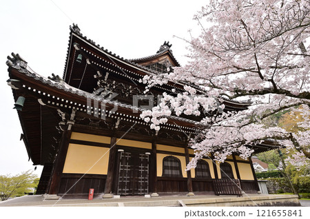 Nanzenji Temple, cherry blossoms blooming, spring scenery, Kyoto City 121655841