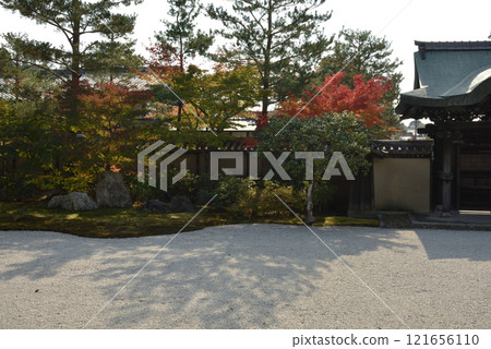 Autumn in Kodaiji Temple: The Southern Garden of the Hojo, "Hashintei" 121656110