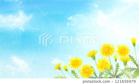 藍天蒲公英的水彩插圖 121656979