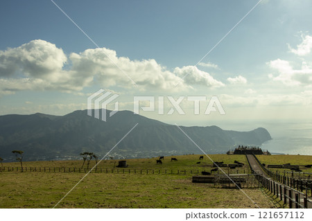 八丈島Fureai牧場 八丈島Fureai牧場 121657112