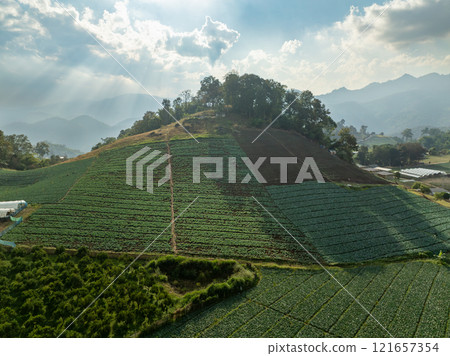 The biggest cause of forest loss is agricultural deforestation ,environmental damage in Southeast Asia , global warming and environment. 121657354