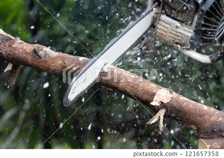 Worker cuts branches from a fallen tree after storm with using a chainsaw. Worker cuts branches from a fallen tree after storm with using a chainsaw. 121657358