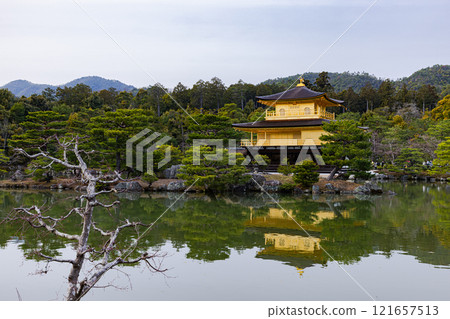 Kinkakuji Temple reflected in the pond, Kyoto Prefecture 121657513