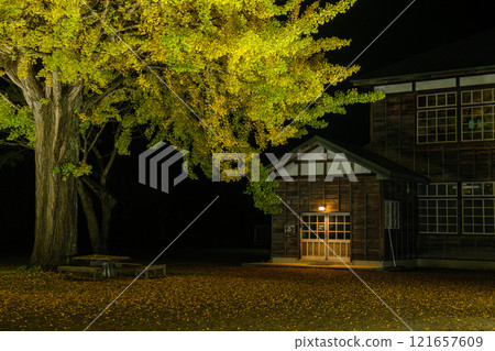 Fallen leaves in the schoolyard 121657609