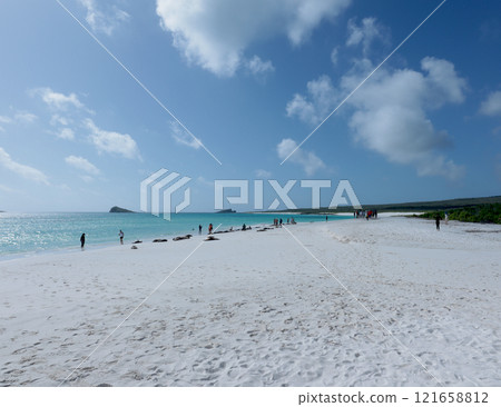 加拉帕戈斯群島各個島嶼的自然景觀 加拉帕戈斯群島各個島嶼的自然景觀 121658812
