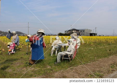 A farmer planting rice, rapeseed field, Tatsuno Plum Grove 121659123