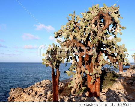 Natural landscape of each island of the Galapagos Islands 121659532