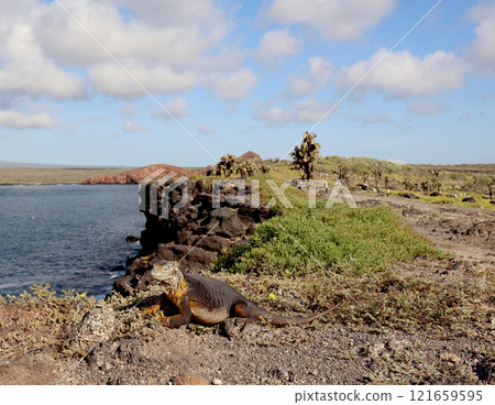 Natural landscape of each island of the Galapagos Islands Natural landscape of each island of the Galapagos Islands 121659595