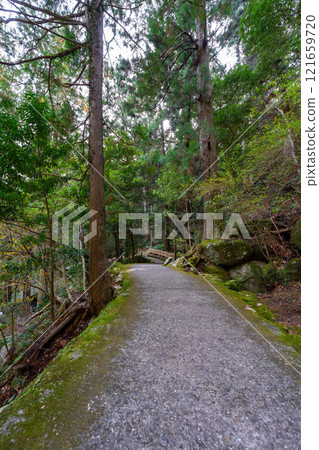 和歌山縣那智瀑布風景（2024年12月） 121659720