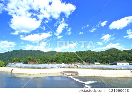 Plastic greenhouses along the Misasa River (Shiraki-cho, Asakita-ku, Hiroshima City) 121660038
