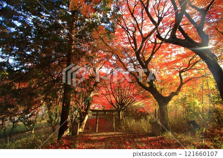 鳥居的秋天風景 鳥居的秋天風景 121660107