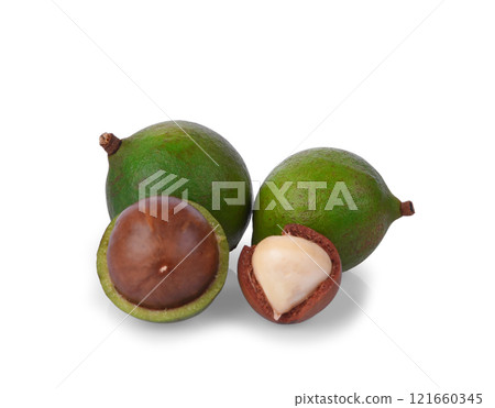 macadamia nuts isolated on white background 121660345