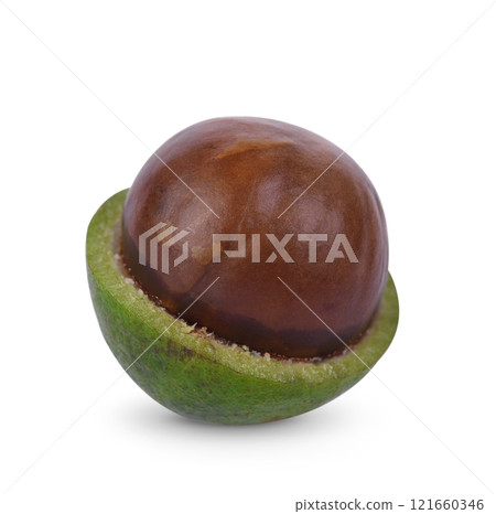 macadamia nuts isolated on white background macadamia nuts isolated on white background 121660346