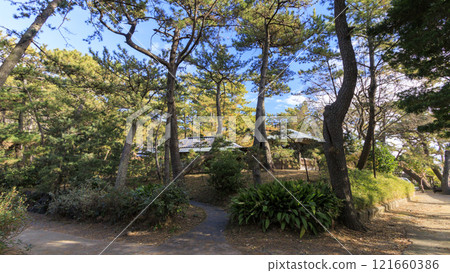 Winter at Hayama Shiosai Park Winter at Hayama Shiosai Park 121660386