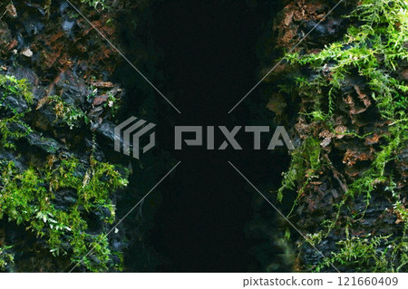 A terrarium-like image with wet moss growing on rock walls on the left and right, and pitch black moss in the center (retouched and color processed material) 121660409
