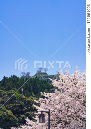 <島根縣>盛開的櫻花和月山戶田城遺址 121661098