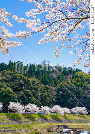 <島根縣>盛開的櫻花和月山戶田城遺址 121661124
