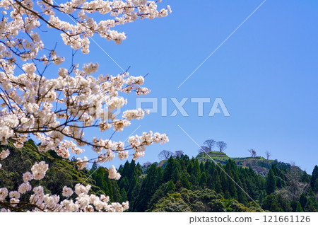 <島根縣>盛開的櫻花和月山戶田城遺址 121661126