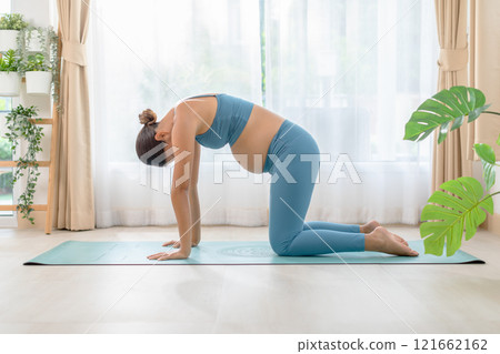 Pregnant woman practicing yoga at home. Cat-cow pose for prenatal exercise and health during pregnancy, creating a calm and positive environment. 121662162