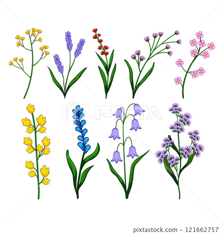 flower branch set cartoon vector illustration flower branch set cartoon vector illustration 121662757