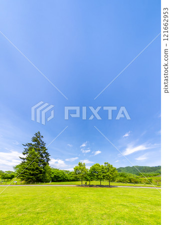 Spring Miyagase Lakeside Park, Kanagawa Prefecture 121662953