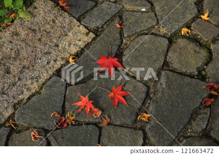 Shofuen in autumn 121663472