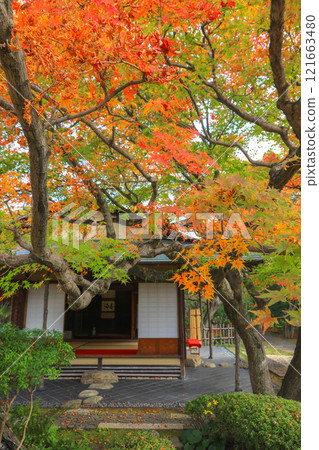 秋天的松風園 秋天的松風園 121663480