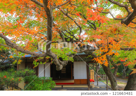 秋天的松風園 秋天的松風園 121663481