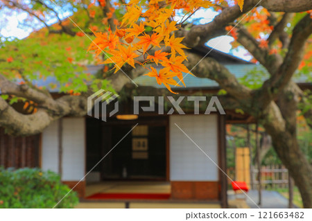秋天的松風園 秋天的松風園 121663482