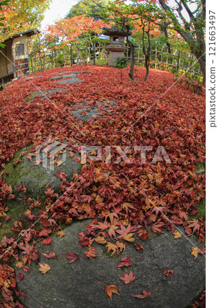 秋天的松風園 秋天的松風園 121663497