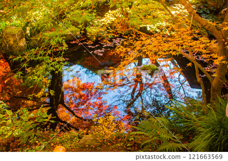 【京都風景】三千院、大原之裡的秋葉暖心 121663569